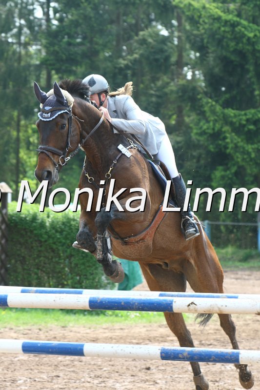 104M3209_Haeuslers-Luftikus_Punkte L.JPG